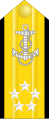 Almirante Brazīlijas flote[11]