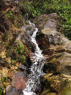 Upper Amazon waterfall