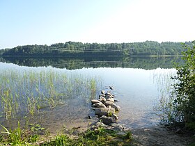 Вид на озеро со стороны деревни Борисово