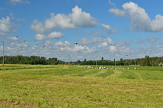 Palvere Village in Estonia