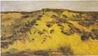 Dune 1882 Collezione privata (F2a)
