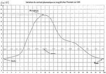 Le cortisol dans le sang