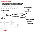 Vaxfectin Structure-11Jun2010.jpg