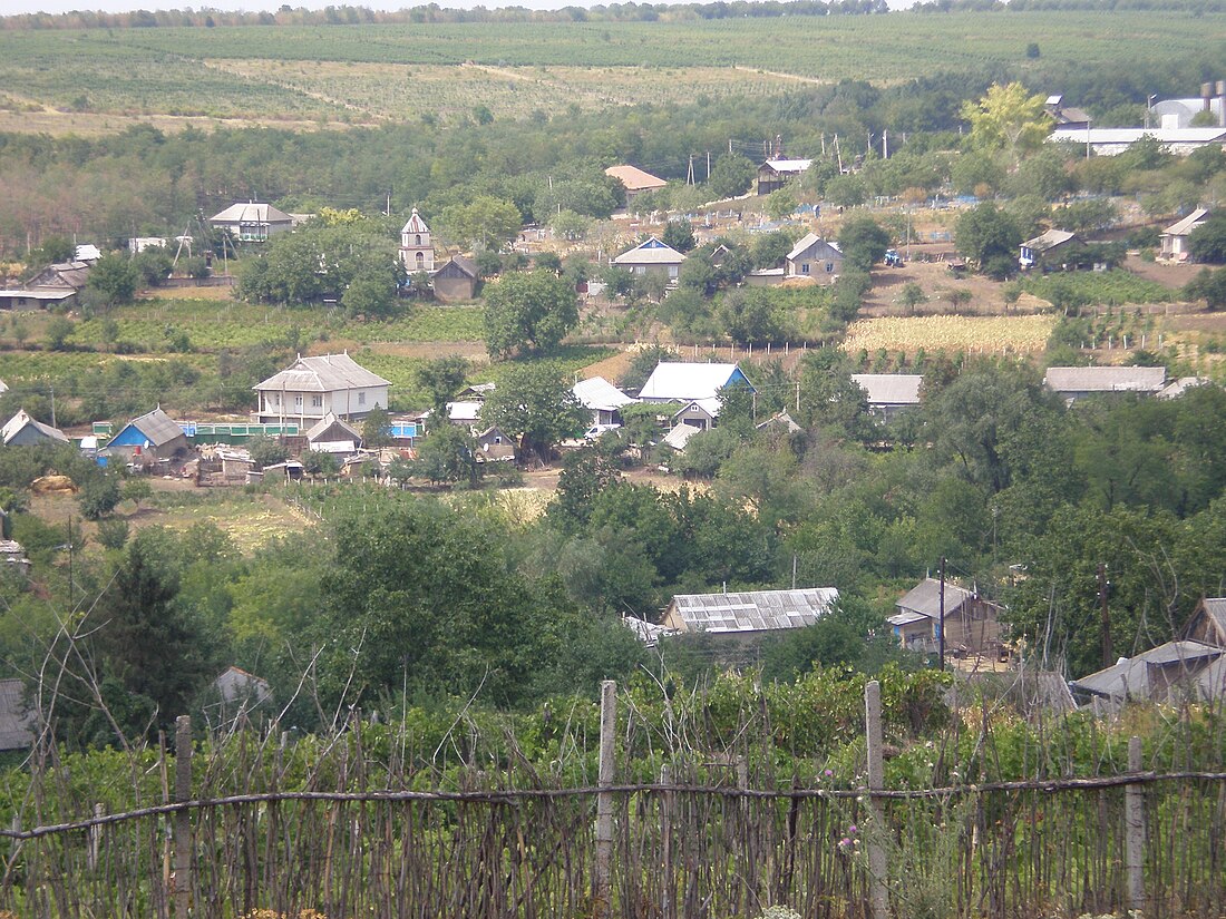 Baurci-Moldoveni, Cahul