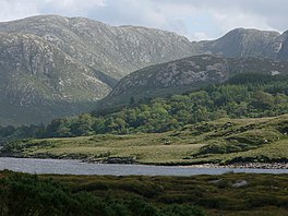 Lihat di Dunlewy Lough - geograph.org.inggris - 431304.jpg