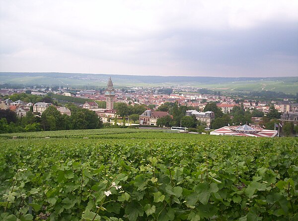 Vineyards near Épernay