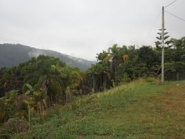 Изглед на юг от Lowry Court, Neranwood, Queensland.jpg