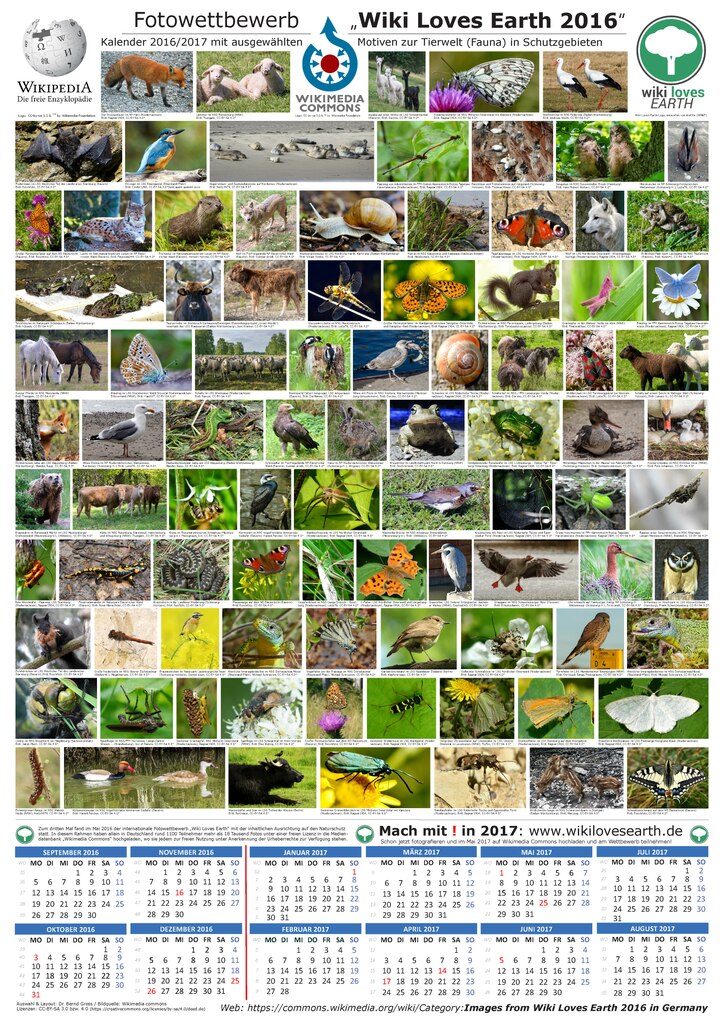Oppositie Dierbare Amazon Jungle File:WLE-Germany Fauna-Calendar-Poster 2016-2017.pdf - Wikimedia Commons