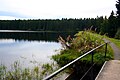 Oberharzer Wasserregal - Oberer Nassenwieser pond