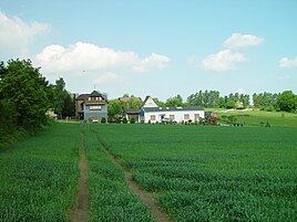 View of shrub