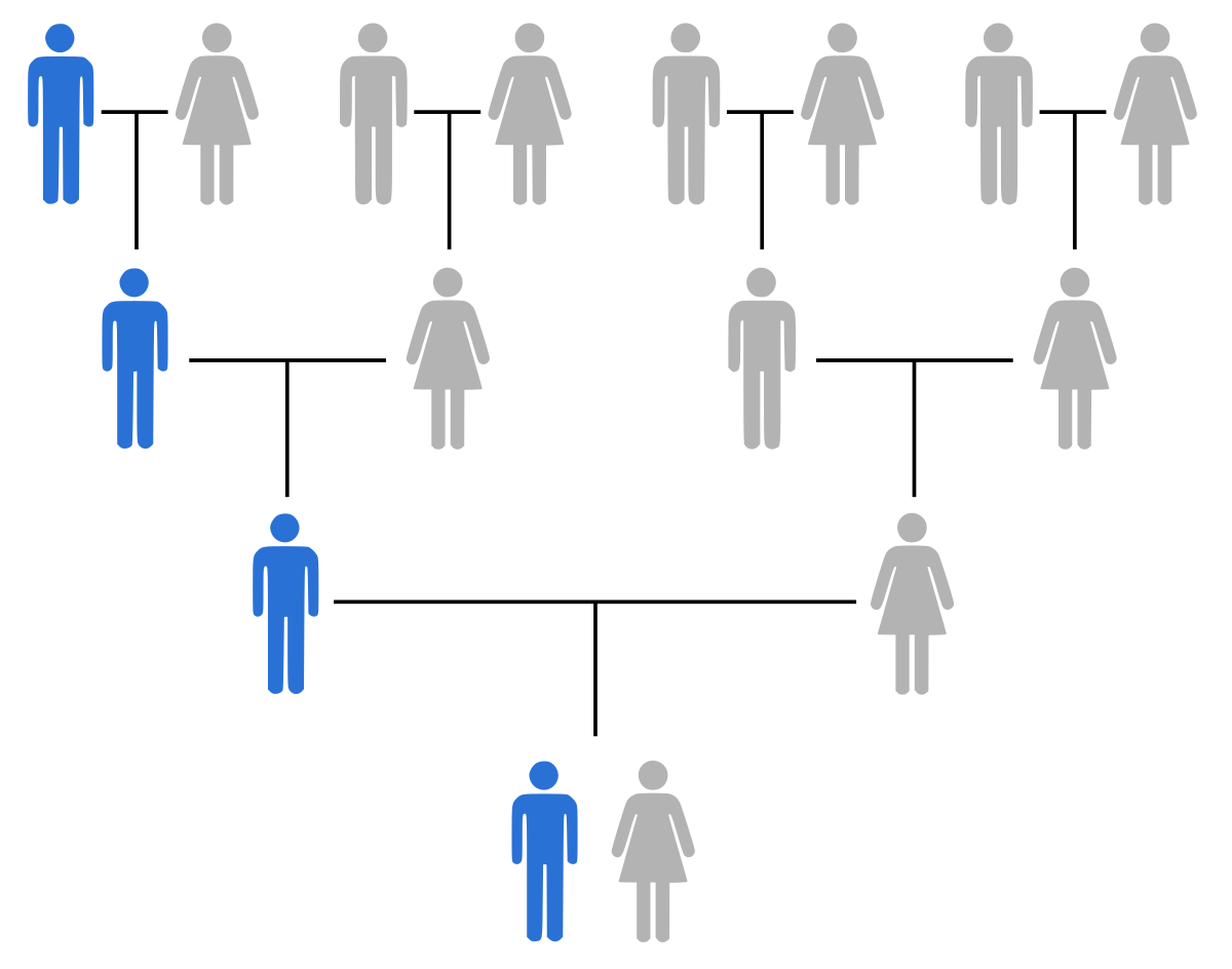 Наследственность по отцовской линии. Отцовская линия. Paternal.