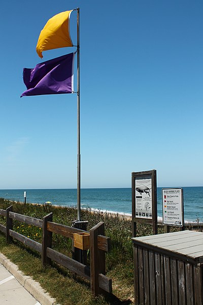 File:YellowAndPurpleFlag-DangerousMarineLife (38561461580).jpg