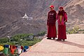 Namgyal Tsemo Monastery 2011-06-10 17:06:47