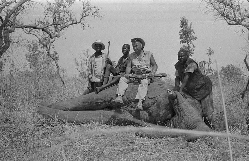 File:Zdravko Pečar During an Elephant Hunt (1).jpg