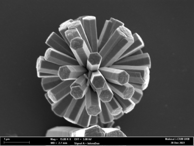 Microscopic SEM Image of Zn0 nanorod structures showcasing the beauty of nanoworld