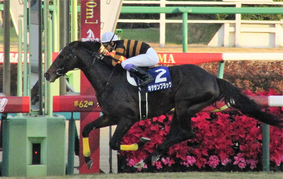 大規模セール トウカイテイオー 競走馬 JRAピンバッジ 有馬記念優勝 4