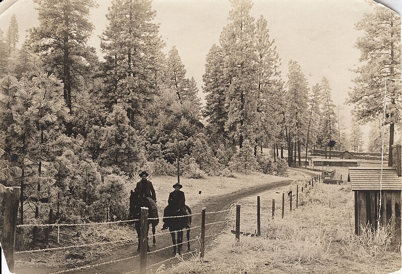 File:"Albert and Mel Nee, left to right" on horseback in winter. Taken c. 1905. (2204d7e1-9ab7-47f8-be52-00c9e250fdb4).jpg
