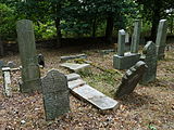 Čeština: Náhrobky na židovském hřbitově v Batelově, okres Jihlava. English: Gravestones in the Jewish cemetery by the village of Batelov, Jihlava District, Vysočina Region, Czech Republic.