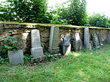 Čeština: Židovský hřbitov ve městě Světlá nad Sázavou v okrese Havlíčkův Brod. English: Jewish cemetery in the town of Světlá nad Sázavou, Havlíčkův Brod District, Vysočina Region, Czech Republic.