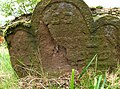 Čeština: Náhrobní kámen, židovský hřbitov u Měchnova. Okres Benešov, Česká republika. English: Gravestone in jewish cemetery near Měchnov, Benešov District, Czech Republic.