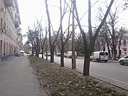 Улица Щорса