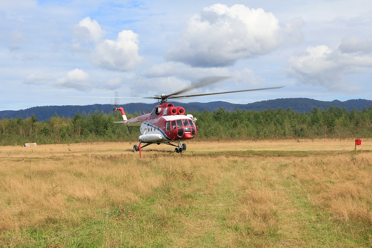 Авиакомпания тайга. Авиашельф. Ra-25185. Авиашельф фото.