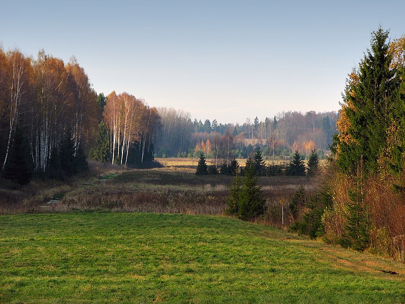File:Осенний взгляд - panoramio.jpg