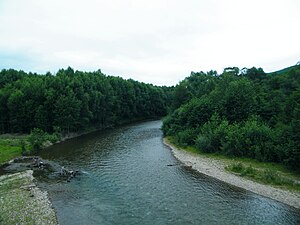 金子河 (滨海边疆区)