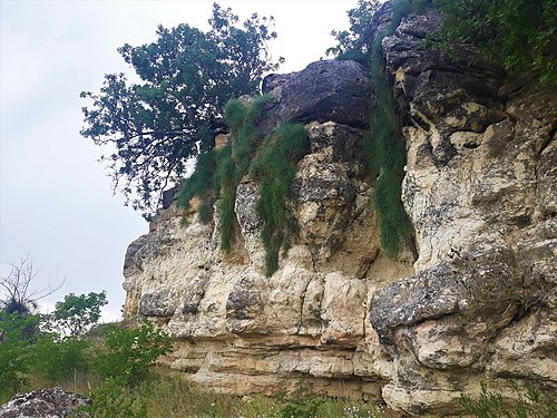 Manastir Fossil Site]] Photograph: Sentimentalna