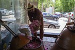 Thumbnail for File:مراسم گلابگیری در قمصر کاشان Golabgiri ("making Rosewater") - Ghamsar- Kashan- Iran 26.jpg