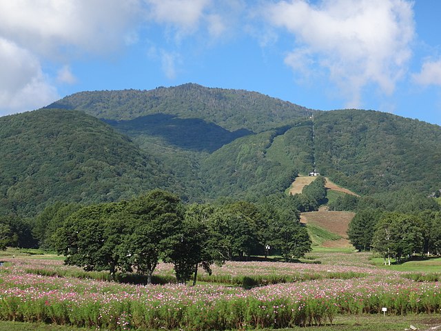 File コスモスの咲く黒姫高原 Jpg Wikimedia Commons