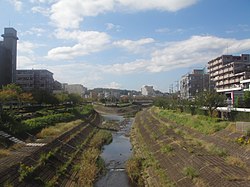 大栗川: 地理, 歴史, 生物