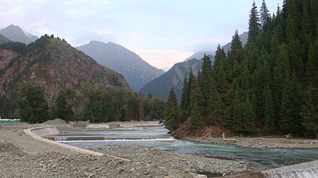 Tien Shan ormanları, Urumçi