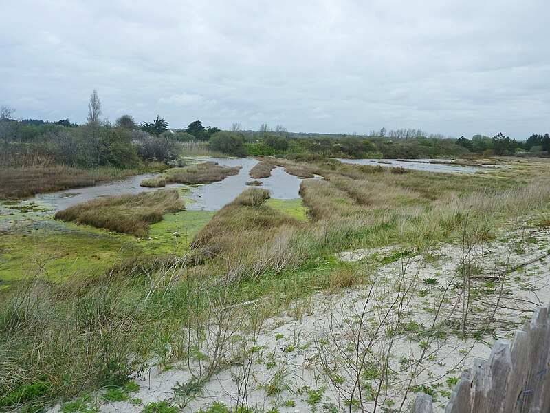 File:075 Combrit-Ile-Tudy Le marais de Kermor inondé.JPG