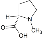 1-Méthylproline.png