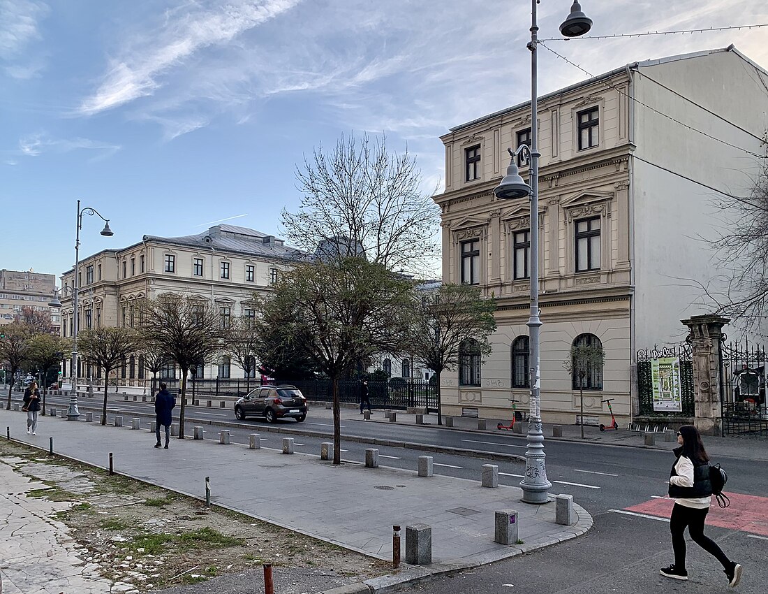 Musée des collections d'art