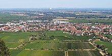 Plik:180812-Edenkoben-01.jpg