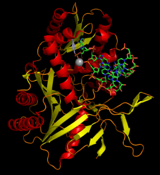 <span class="mw-page-title-main">Archaeoglobaceae</span> Family of archaea