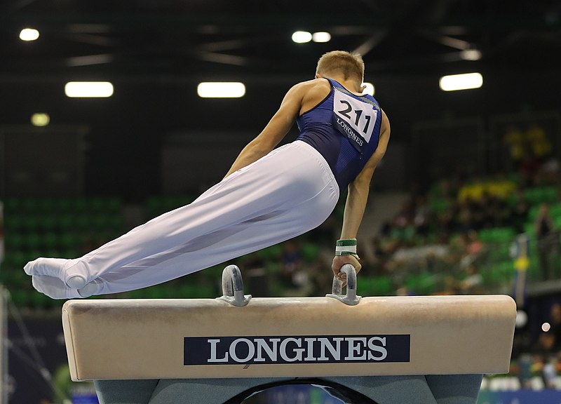 File:2019-06-27 1st FIG Artistic Gymnastics JWCH Men's All-around competition Subdivision 3 Pommel horse (Martin Rulsch) 175.jpg