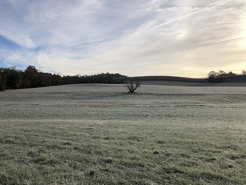 File:2021-11-04 09 19 10 View east across frost-covered fields during dim morning sunshine filtered by cirrus clouds along Maryland State Route 27 (Ridge Road) in Spring Mills, Carroll County, Maryland.jpg