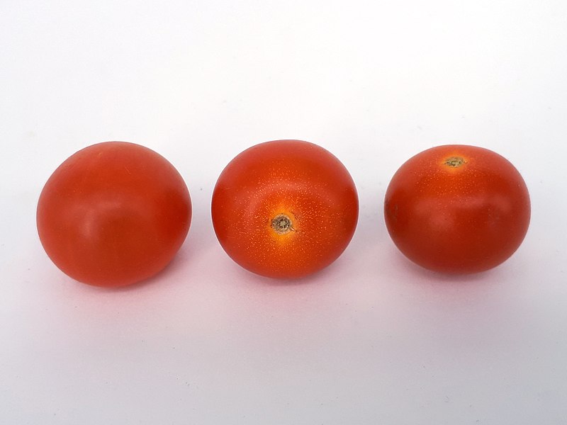 File:3 x Cherry Nebula tomato 2017 A2.jpg