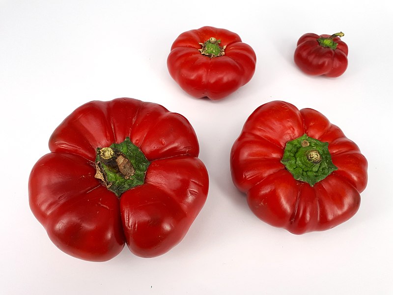 File:4 x Flat red bell pepper 2017 D.jpg