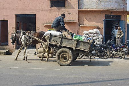 A street scene in Agra, India