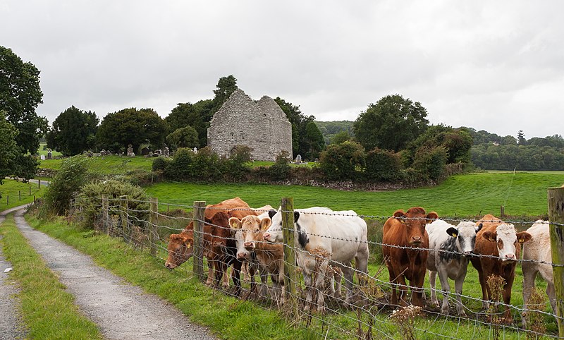 File:Aghowle Church and Enclosure E 2016 09 11.jpg