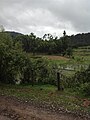 Agumbe Hills 020.jpg
