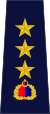 Albay (Jandarma-TR).svg
