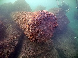 Lighthouse remains found in the Mediterranean Sea.