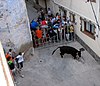 Fiesta Mayor de San Agustín de Alfara