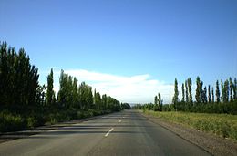 Roadside scenery along the Upper Valley of the Rio Negro (Black River).