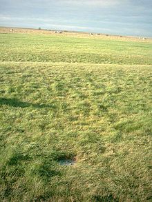 A white disc marks the location of Aubrey hole number 21 on the western side of the southern entrance to Stonehenge. The monument's encircling bank and ditch are visible behind it. Aubreyhole.jpg